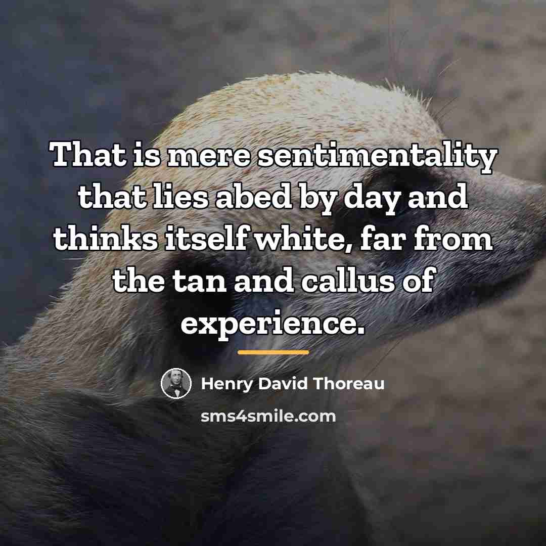 “That is mere sentimentality that lies abed by day and…” quote by Henry David Thoreau