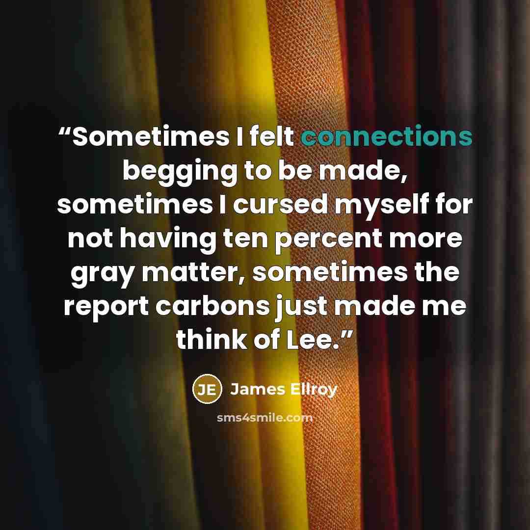 “Sometimes I felt connections begging to be made, sometimes I cursed myself for not having ten percent more gray matter, sometimes the report carbons just made me think of Lee.” quote by James Ellroy
