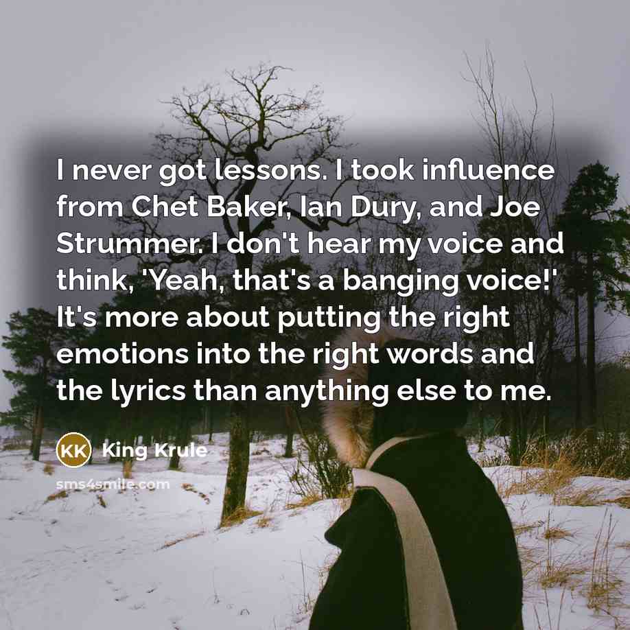 “I never got lessons. I took influence from Chet Baker,…” quote by King Krule