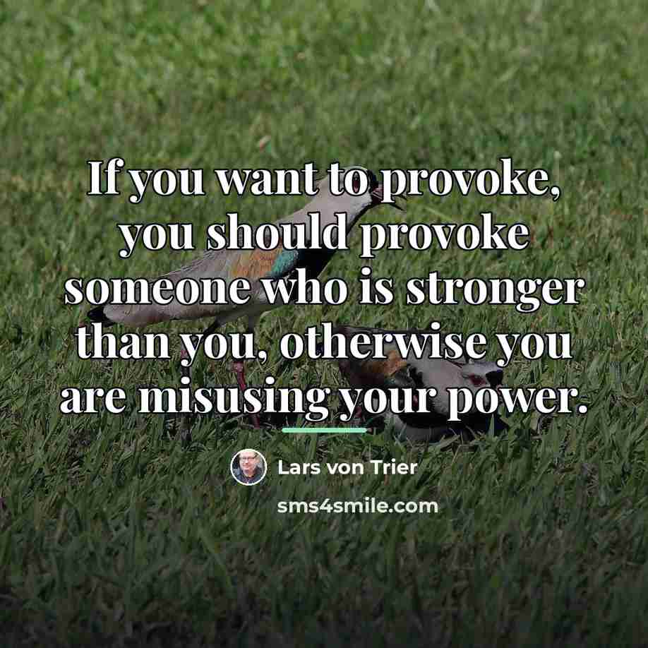 “If you want to provoke, you should provoke someone who…” quote by Lars von Trier