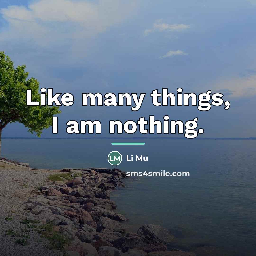 “Like many things, I am nothing.…” quote by Li Mu