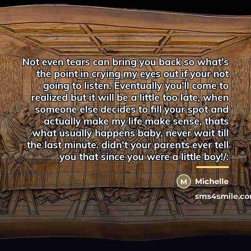 “Not even tears can bring you back so what's the…” quote by Michelle