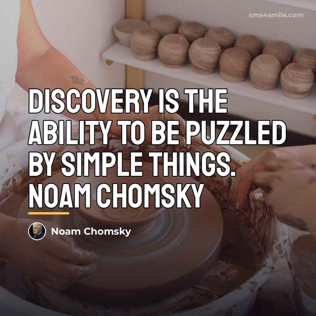 “Discovery is the ability to be puzzled by simple things.…” quote by Noam Chomsky
