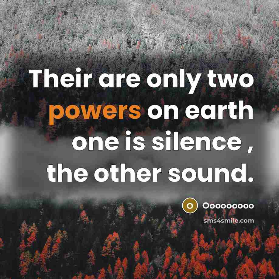 “Their are only two powers on earth one is silence , the other sound.” quote by Ooooooooo