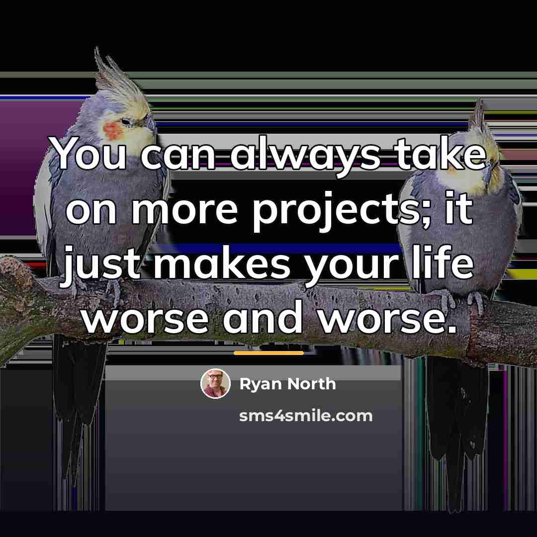 “You can always take on more projects; it just makes…” quote by Ryan North