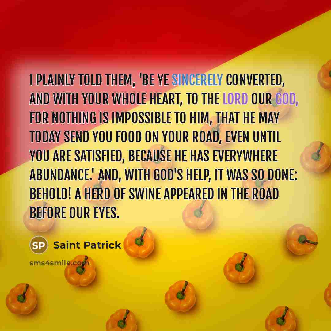 “I plainly told them, 'Be ye sincerely converted, and with your whole heart, to the Lord our God, for nothing is impossible to Him, that He may today send you food on your road, even until you are satisfied, because He has everywhere abundance.' And, with God's help, it was so done: Behold! A herd…” quote by Saint Patrick