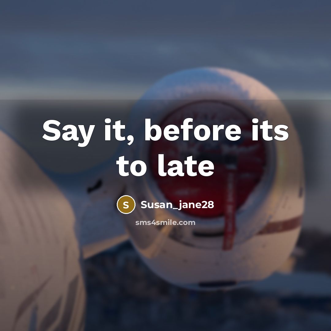 “Say it, before its to late…” quote by Susan_jane28