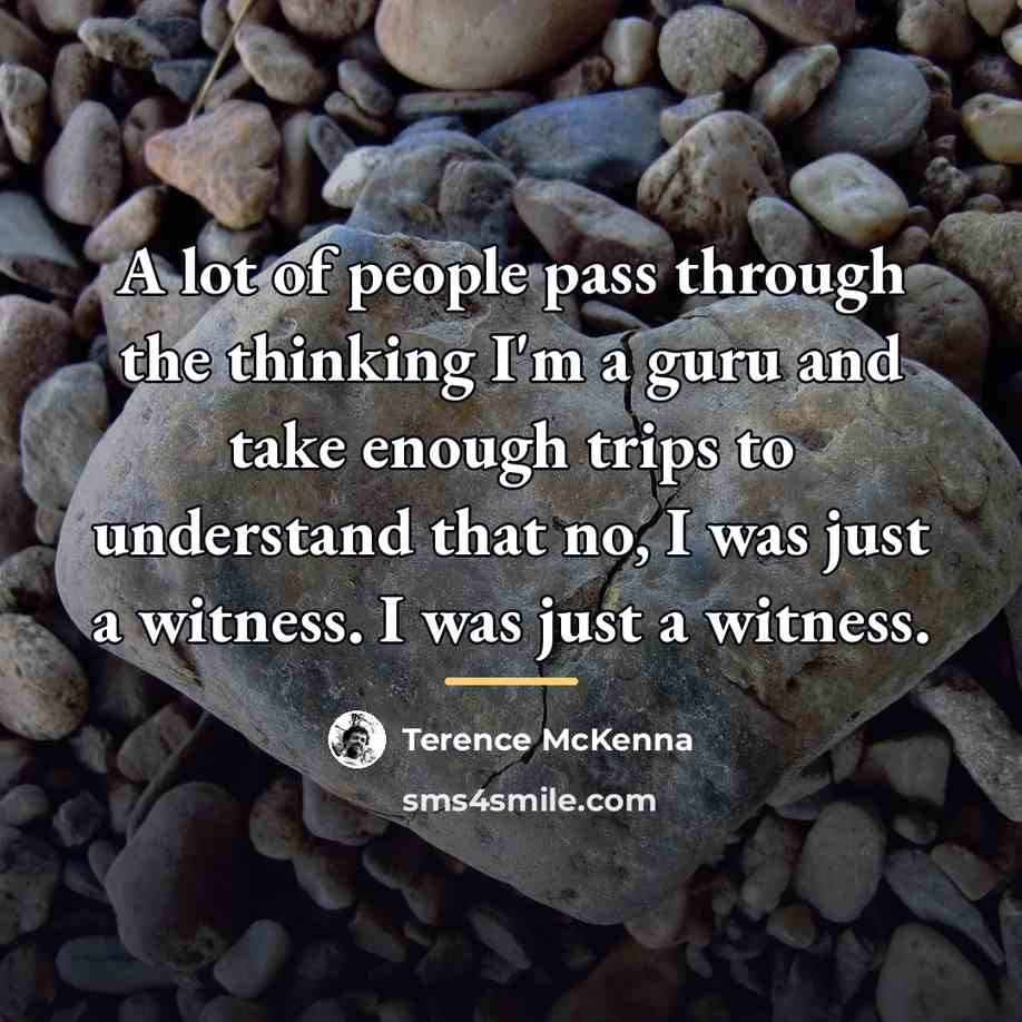 “A lot of people pass through the thinking I'm a…” quote by Terence McKenna