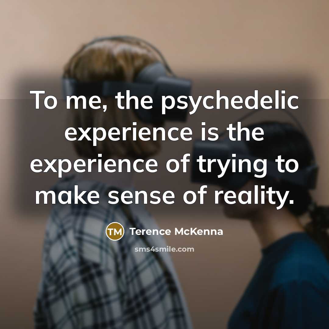 “To me, the psychedelic experience is the experience of trying…” quote by Terence McKenna