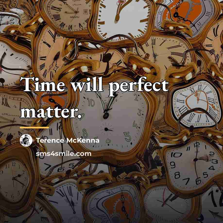 “Time will perfect matter.…” quote by Terence McKenna