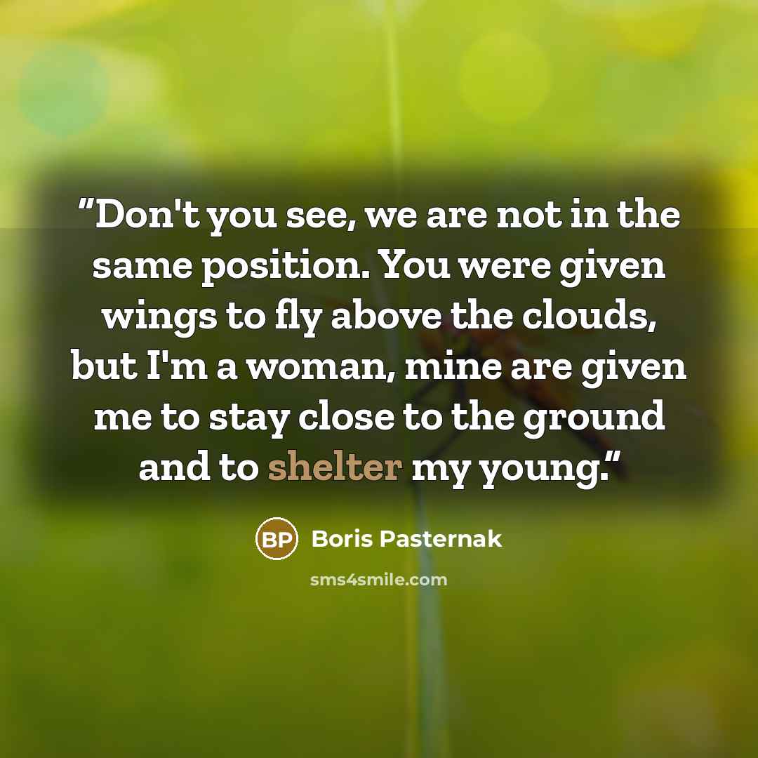 “Don't you see, we are not in the same position. You were given wings to fly above the clouds, but I'm a woman, mine are given me to stay close to the ground and to shelter my young.” quote by Boris Pasternak