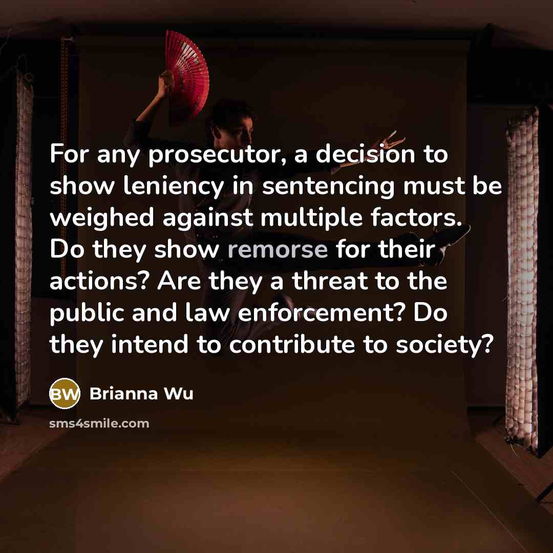 “For any prosecutor, a decision to show leniency in sentencing…” quote by Brianna Wu
