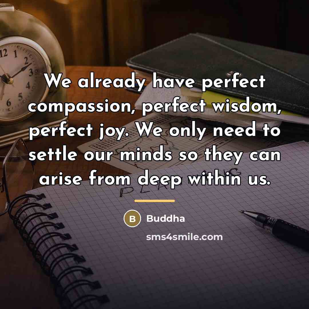 “We already have perfect compassion, perfect wisdom, perfect joy. We…” quote by Buddha