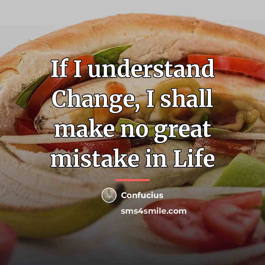 “If I understand Change, I shall make no great mistake…” quote by Confucius