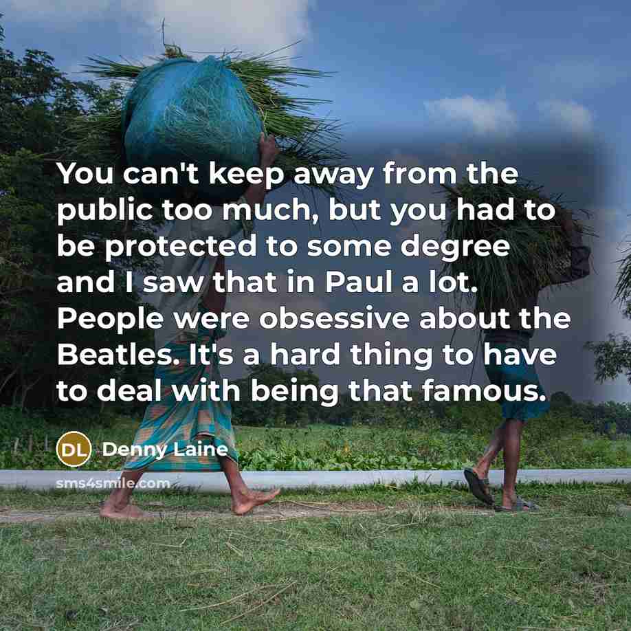 “You can't keep away from the public too much, but…” quote by Denny Laine