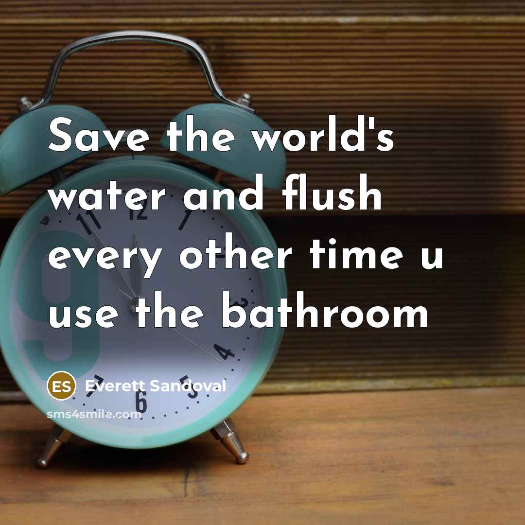 “Save the world's water and flush every other time u use the bathroom” quote by Everett Sandoval
