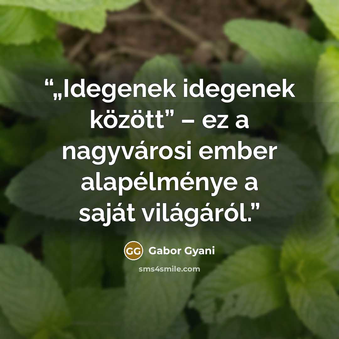 “„Idegenek idegenek között” – ez a nagyvárosi ember alapélménye a saját világáról.” quote by Gabor Gyani