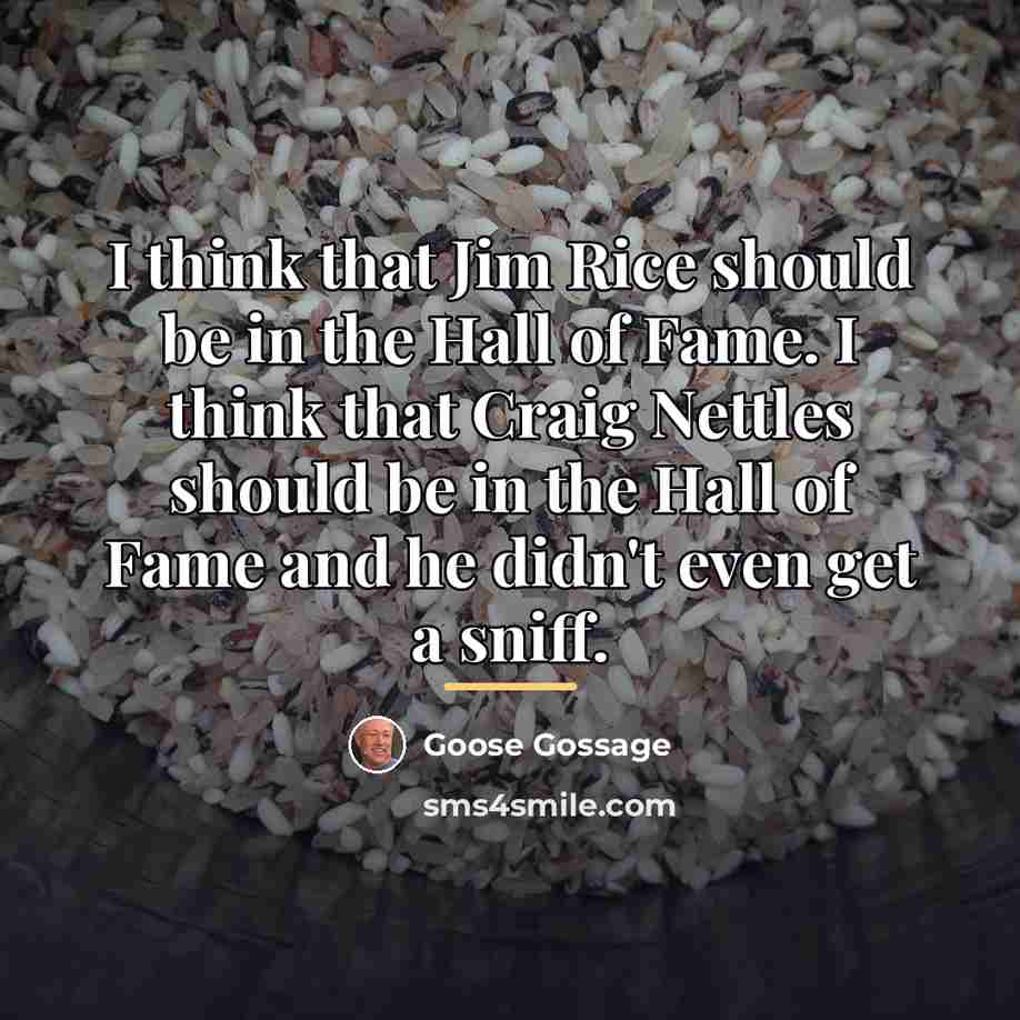 “I think that Jim Rice should be in the Hall…” quote by Goose Gossage