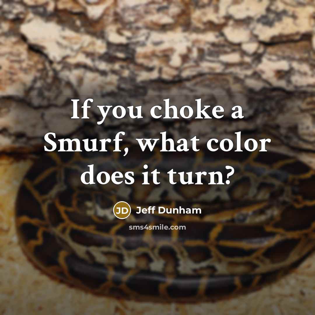 “If you choke a Smurf, what color does it turn?…” quote by Jeff Dunham