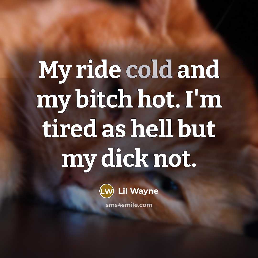 “My ride cold and my bitch hot. I'm tired as hell but my dick not.” quote by Lil Wayne