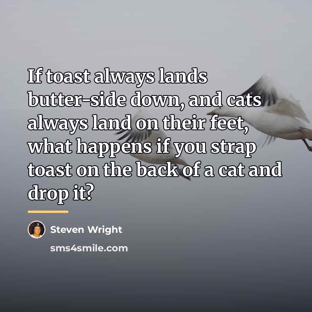 “If toast always lands butter-side down, and cats always land…” quote by Steven Wright