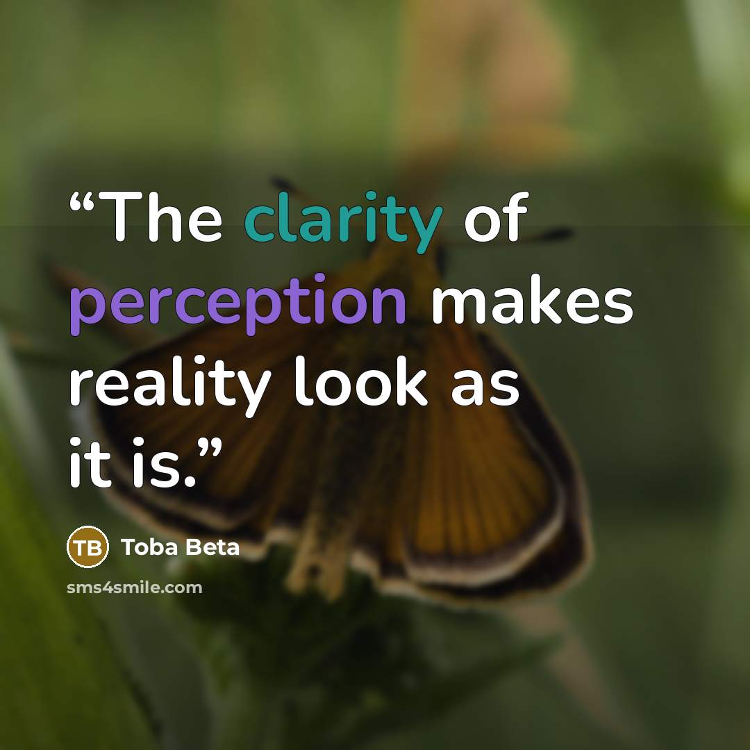 “The clarity of perception makes reality look as it is.” quote by Toba Beta