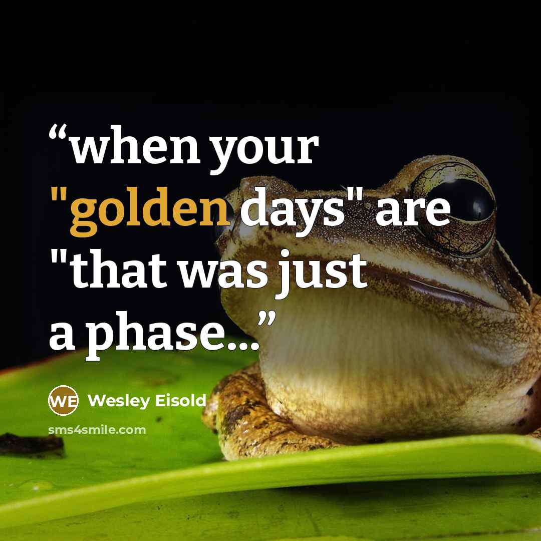 “when your "golden days" are "that was just a phase...” quote by Wesley Eisold