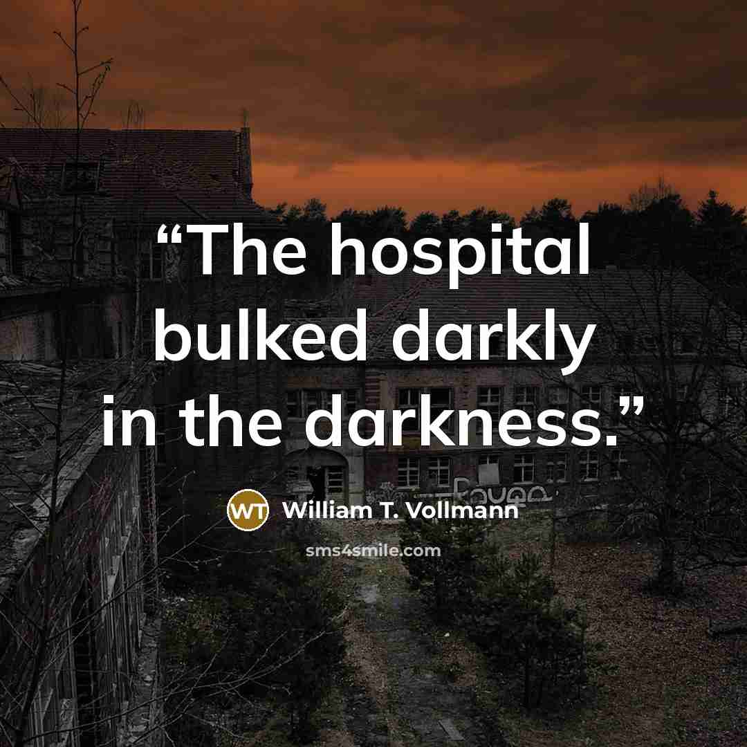 “The hospital bulked darkly in the darkness.” quote by William T. Vollmann