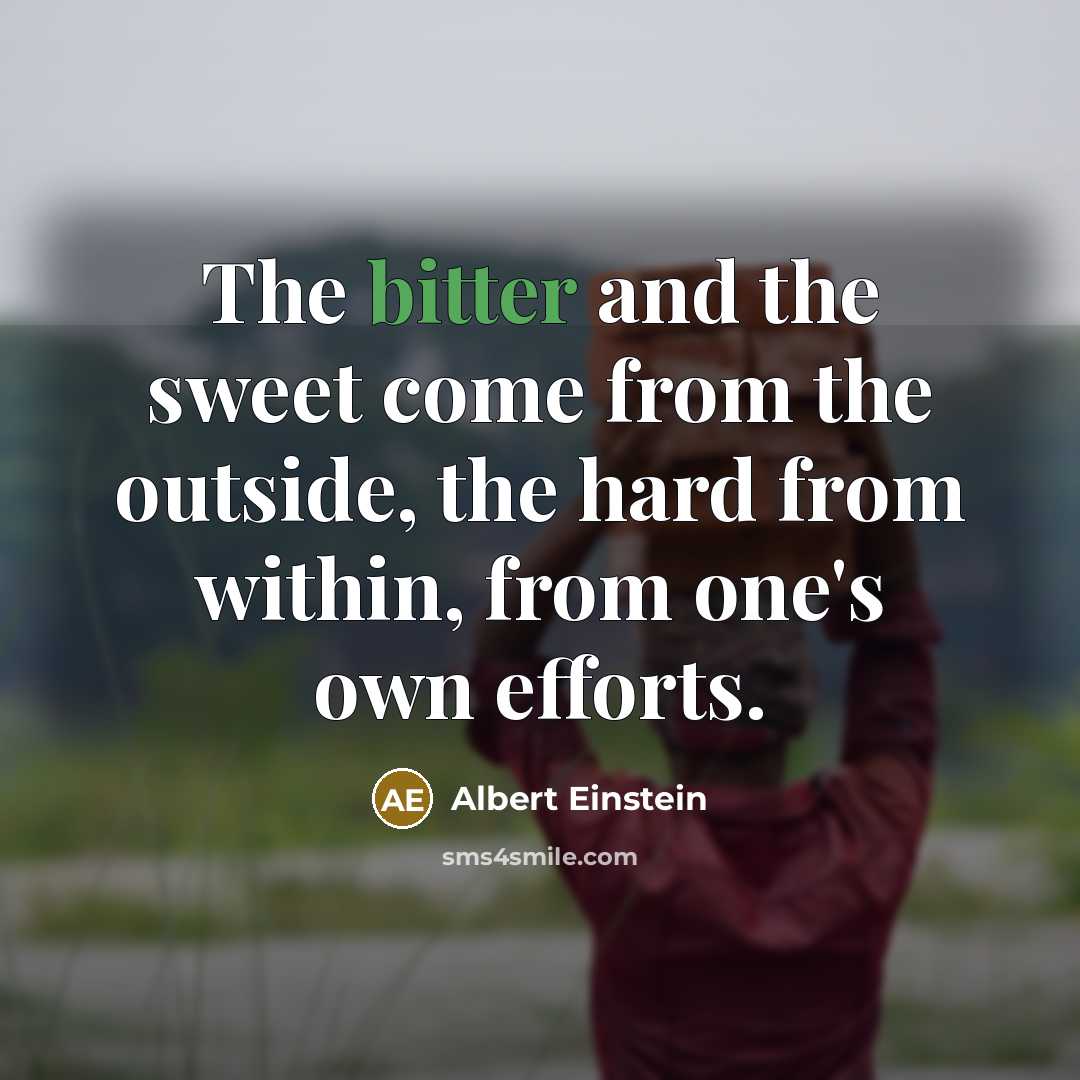 “The bitter and the sweet come from the outside, the…” quote by Albert Einstein