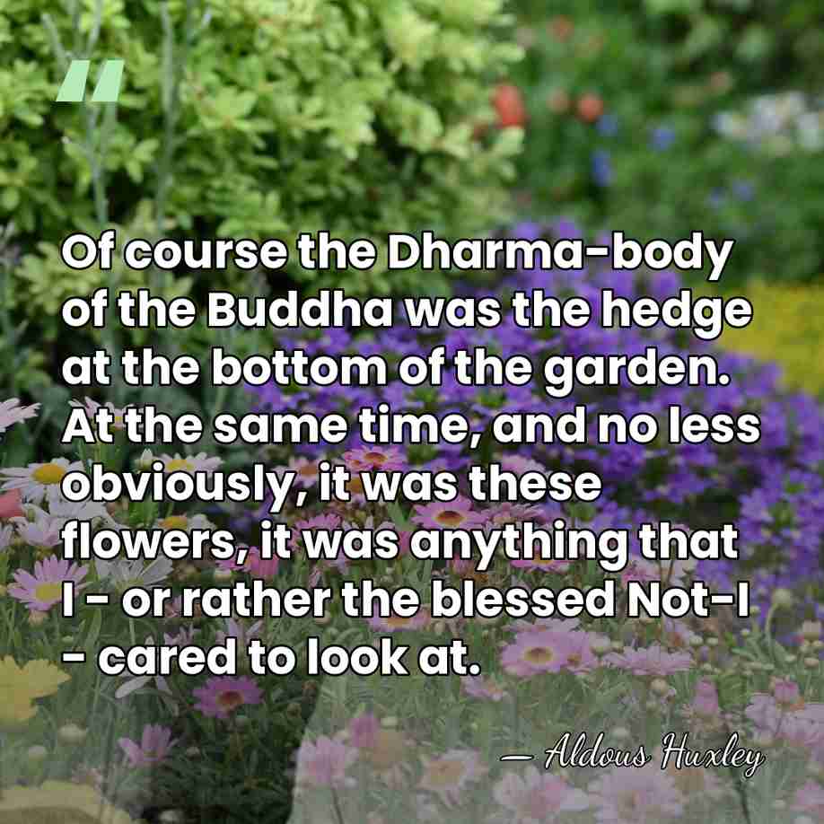 Of course the Dharma-body of the Buddha was the hedge at the&hellip; - Aldous Huxley
