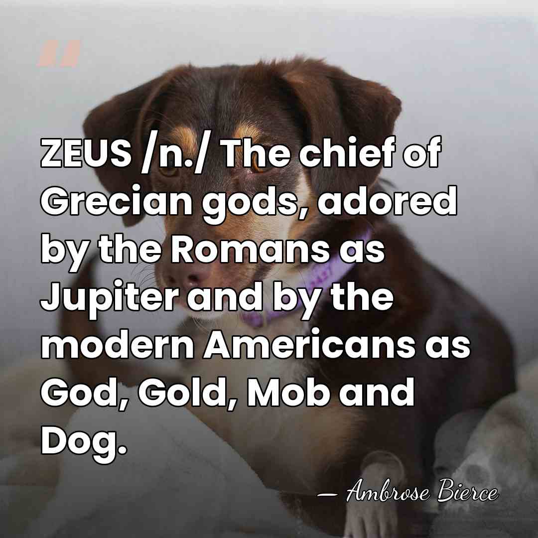 ZEUS /n./ The chief of Grecian gods, adored by the Romans as&hellip; - Ambrose Bierce