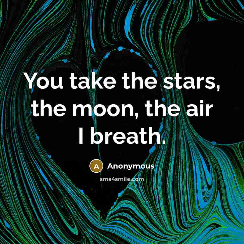 “You take the stars, the moon, the air I breath.…” quote by Anonymous