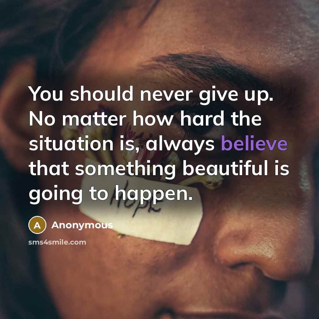 “You should never give up. No matter how hard the…” quote by Anonymous