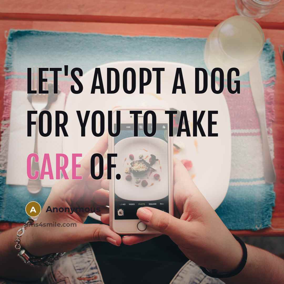 “Let's adopt a dog for you to take care of.…” quote by Anonymous