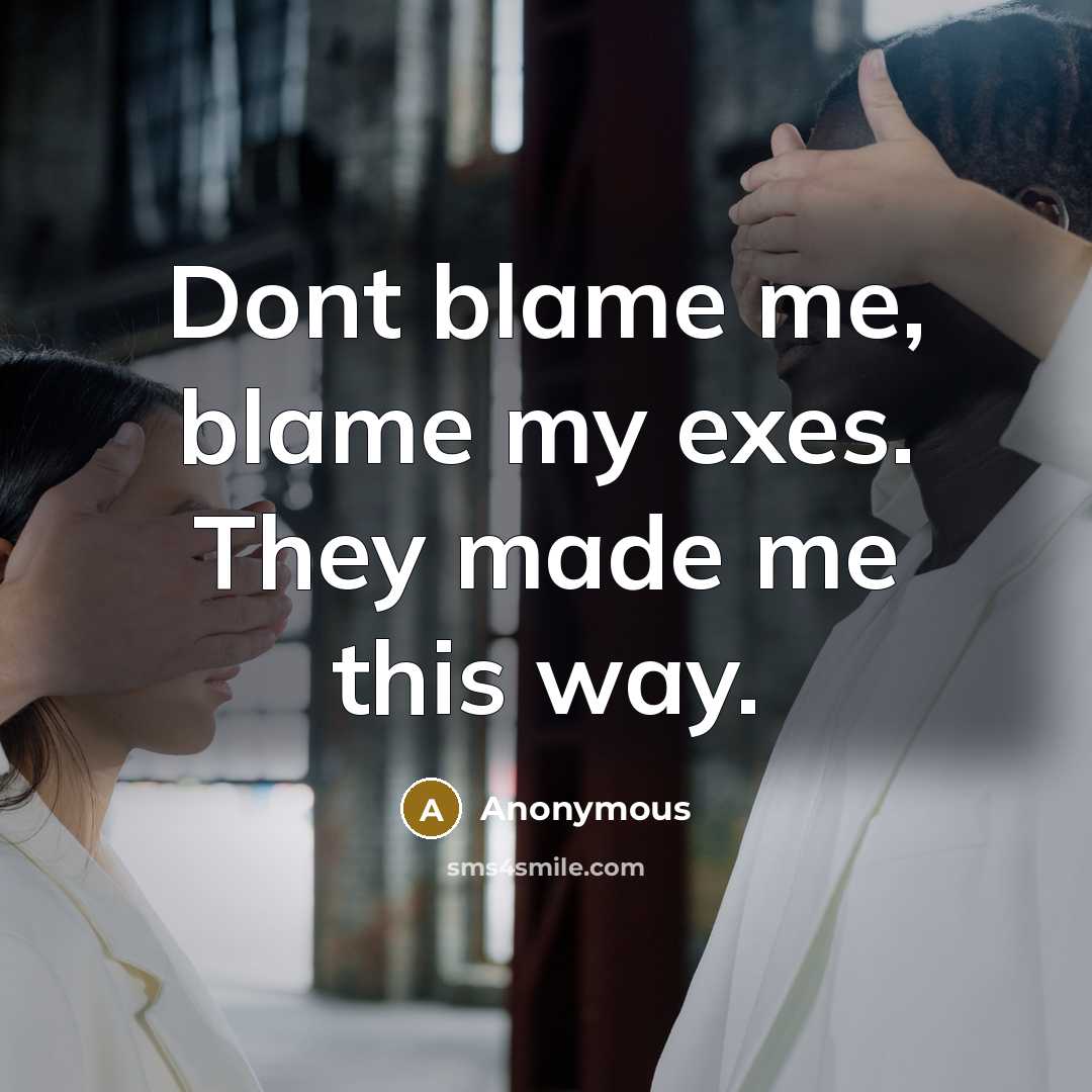 “Dont blame me, blame my exes. They made me this way.” quote by Anonymous
