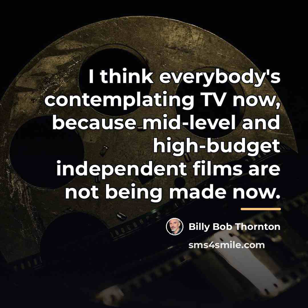 “I think everybody's contemplating TV now, because mid-level and high-budget…” quote by Billy Bob Thornton