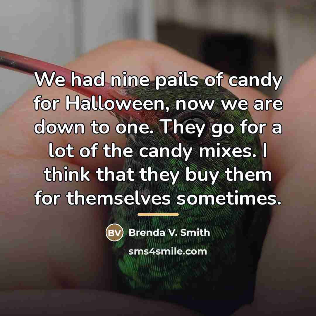 “We had nine pails of candy for Halloween, now we…” quote by Brenda V. Smith