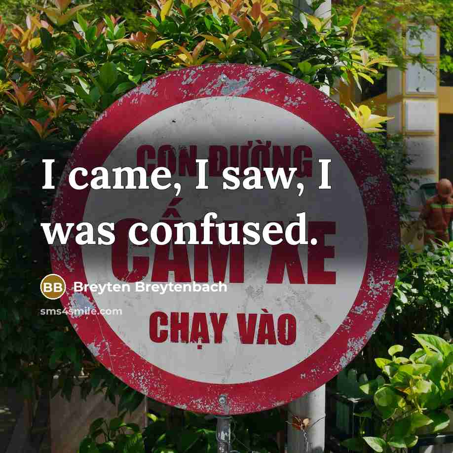 “I came, I saw, I was confused.” quote by Breyten Breytenbach