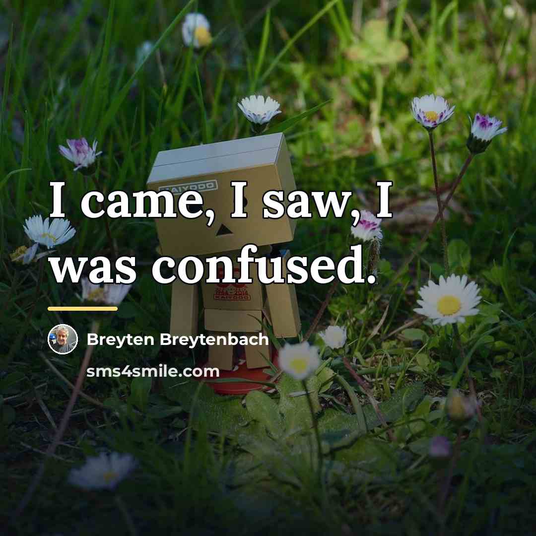 “I came, I saw, I was confused.…” quote by Breyten Breytenbach
