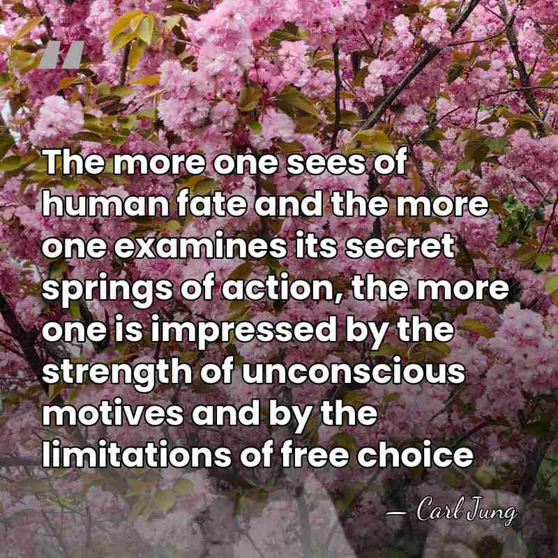 The more one sees of human fate and the more one examines&hellip; - Carl Jung