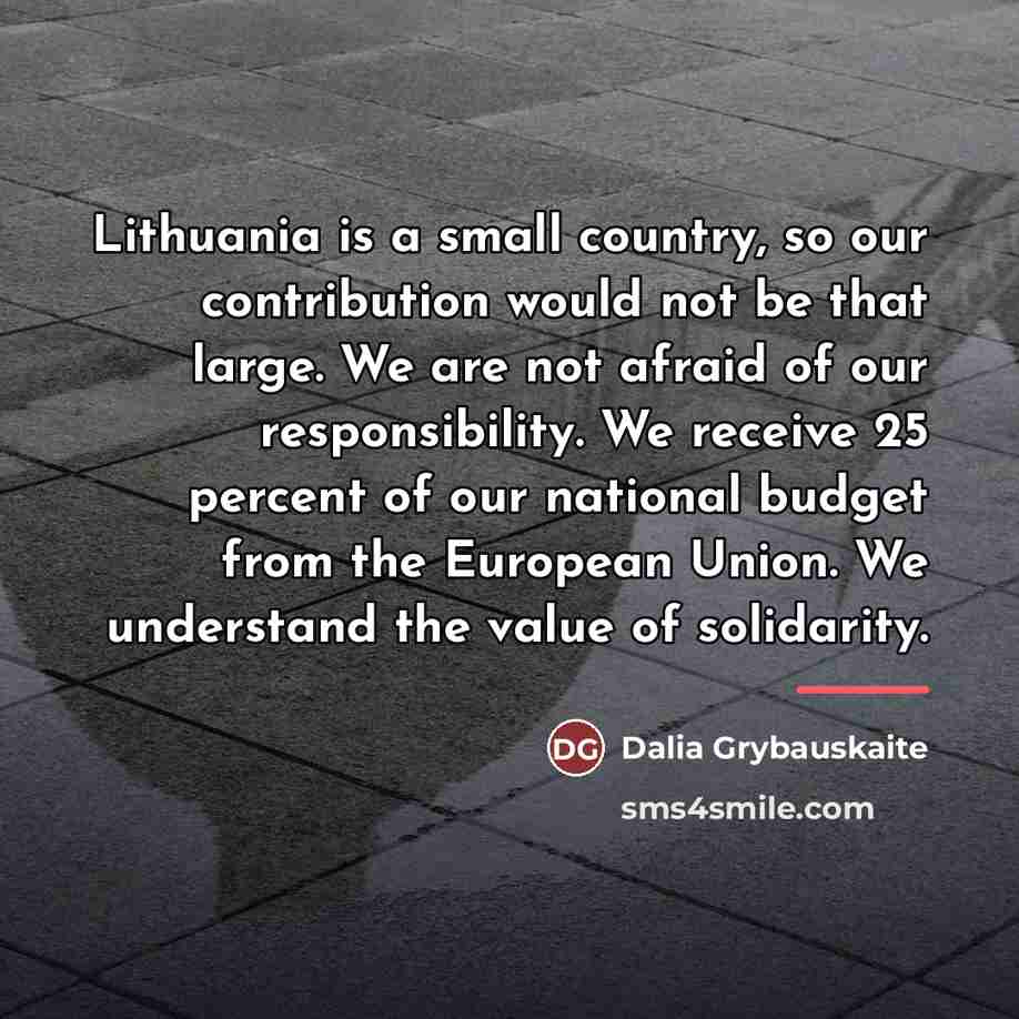 “Lithuania is a small country, so our contribution would not…” quote by Dalia Grybauskaite