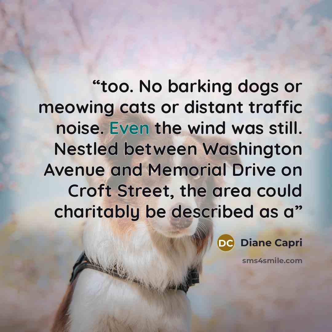 “too. No barking dogs or meowing cats or distant traffic noise. Even the wind was still. Nestled between Washington Avenue and Memorial Drive on Croft Street, the area could charitably be described as a” quote by Diane Capri