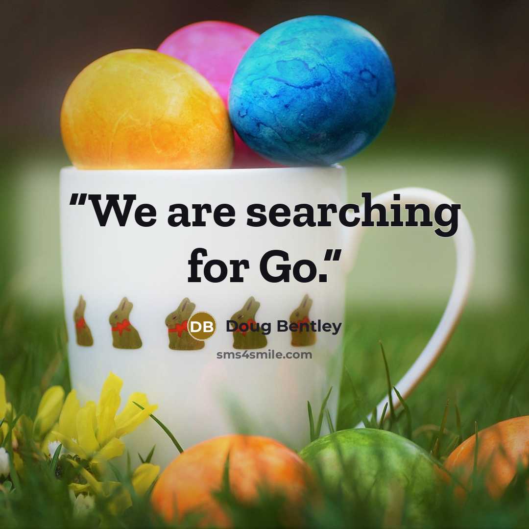 “We are searching for Go.” quote by Doug Bentley