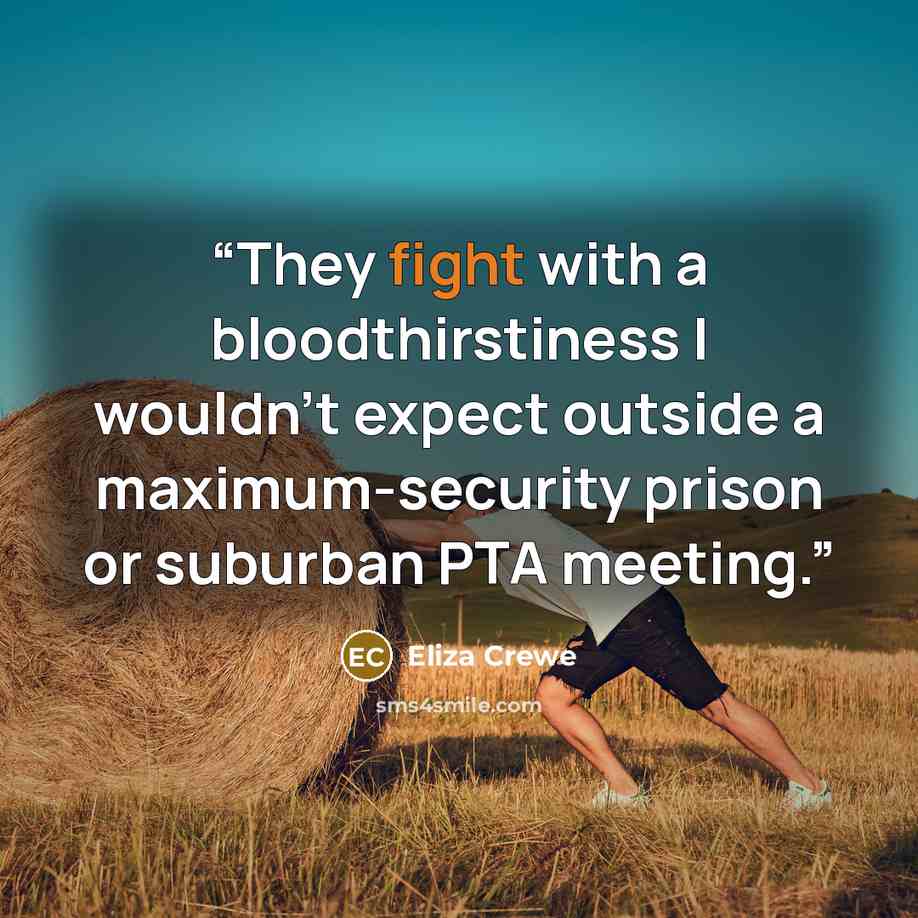 “They fight with a bloodthirstiness I wouldn't expect outside a maximum-security prison or suburban PTA meeting.” quote by Eliza Crewe