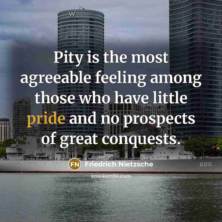 “Pity is the most agreeable feeling among those who have…” quote by Friedrich Nietzsche