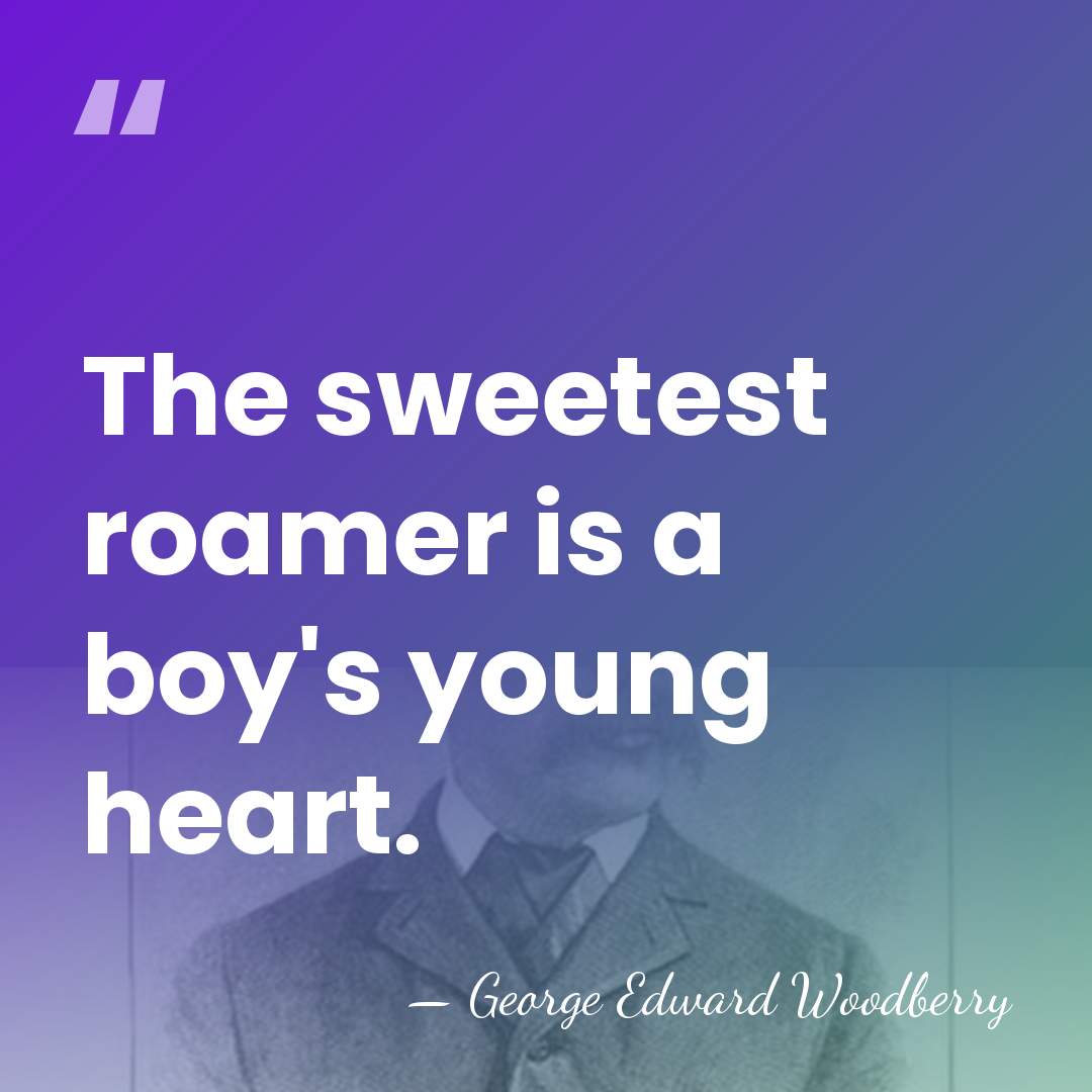 The sweetest roamer is a boy's young heart. - George Edward Woodberry