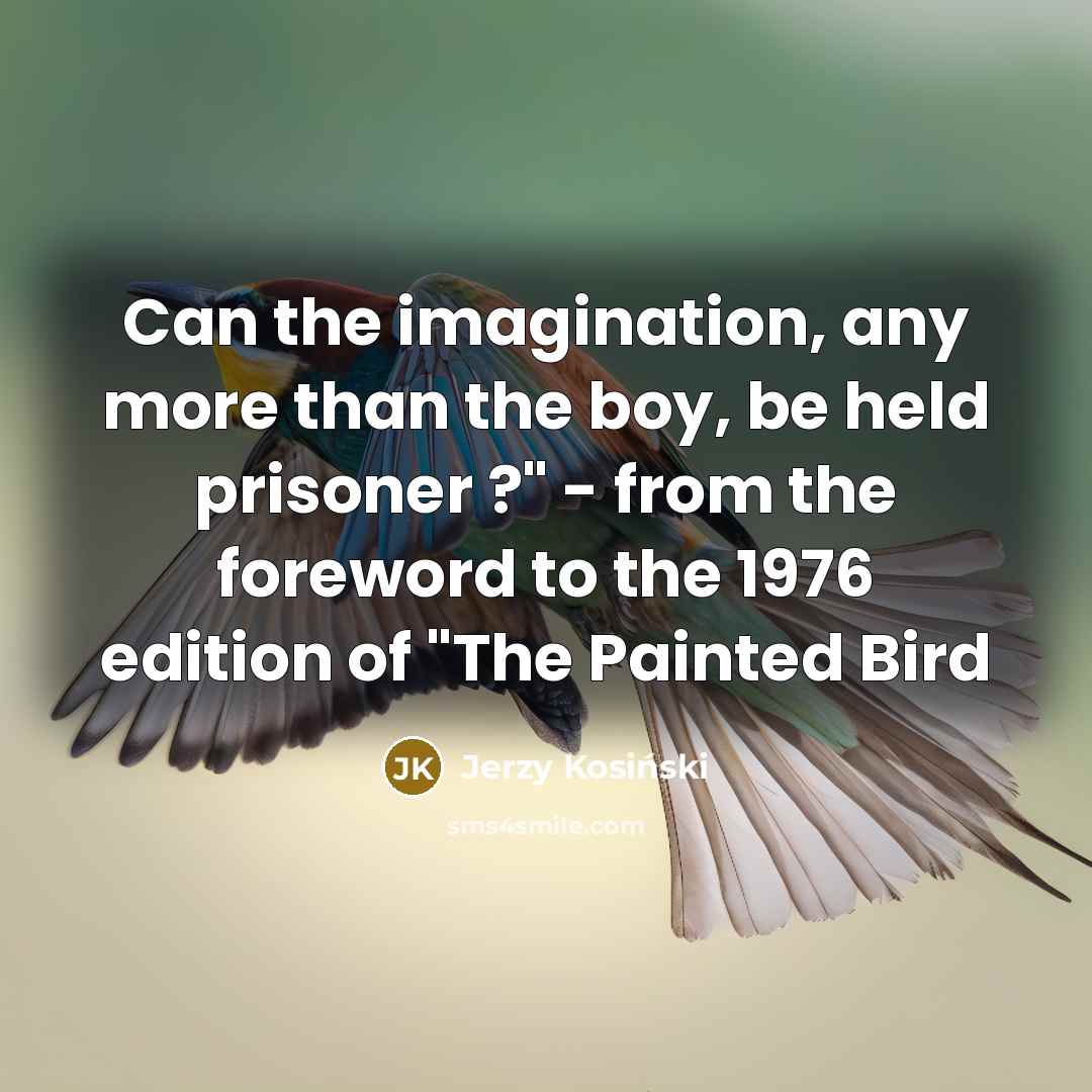 “Can the imagination, any more than the boy, be held…” quote by Jerzy Kosinski