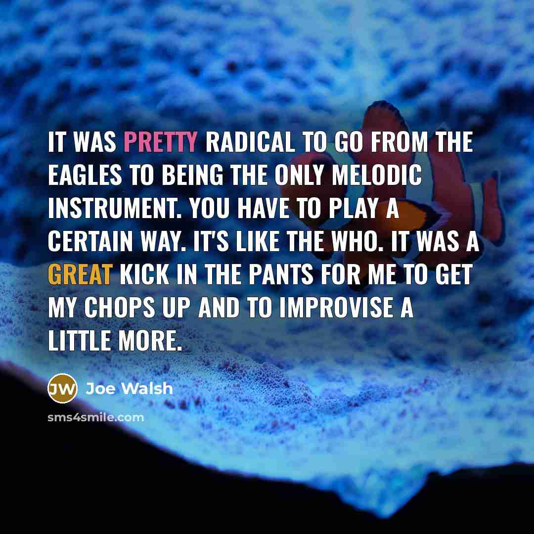 “It was pretty radical to go from the Eagles to…” quote by Joe Walsh