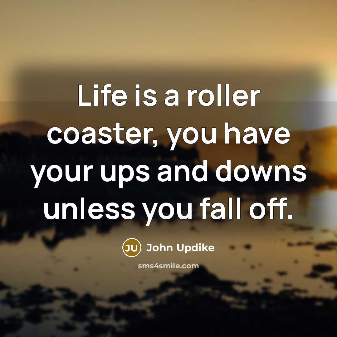 “Life is a roller coaster, you have your ups and…” quote by John Updike