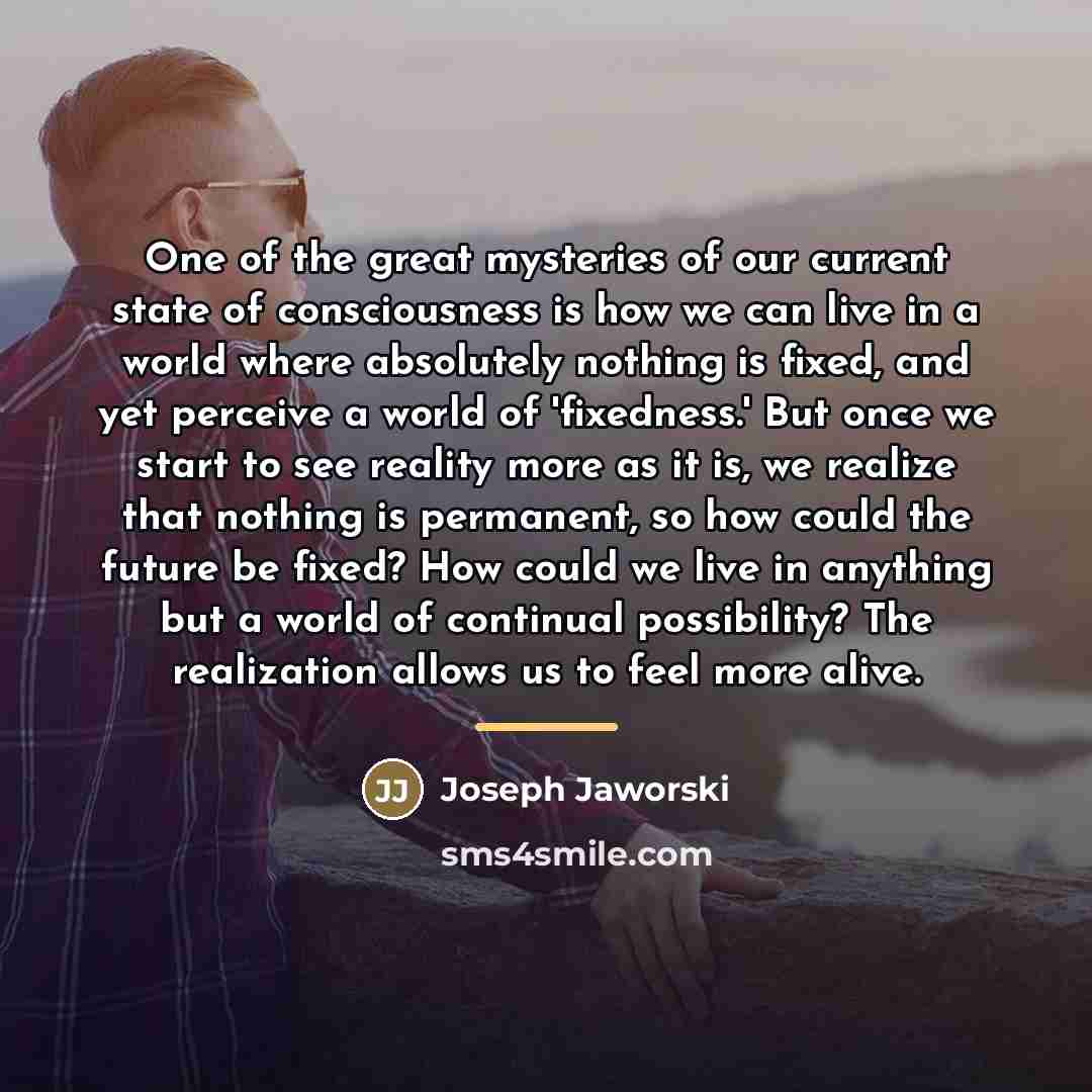 “One of the great mysteries of our current state of…” quote by Joseph Jaworski